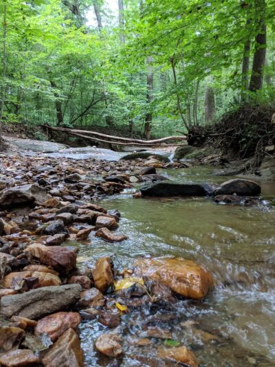 Loch Raven Merrymans Trail Parking - Cockeysville, MD