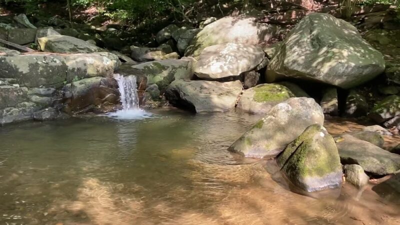 Loch Raven Merrymans Trail Parking - Cockeysville, MD