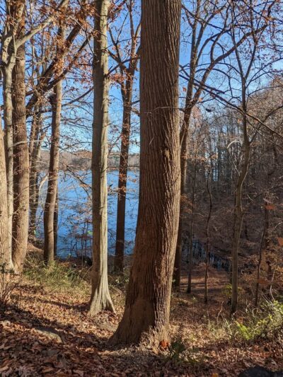 Loch Raven Merrymans Trail Parking - Cockeysville, MD