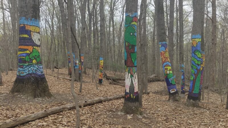 Oregon Ridge Nature Center - Cockeysville, MD