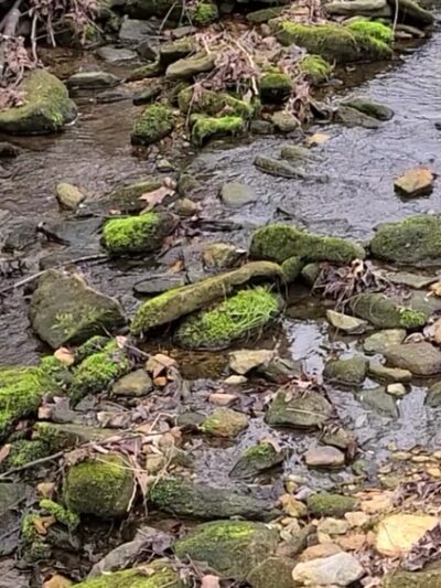 Pot spring Trail Head - Cockeysville, MD