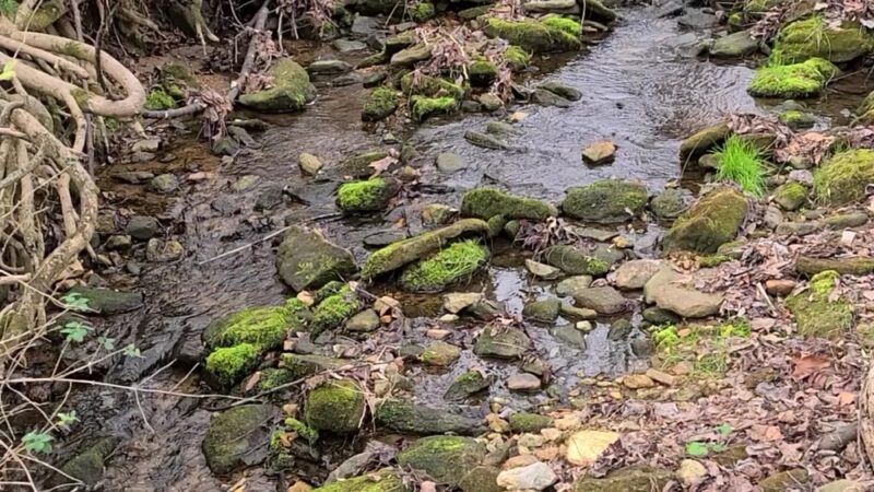 Pot spring Trail Head - Cockeysville, MD