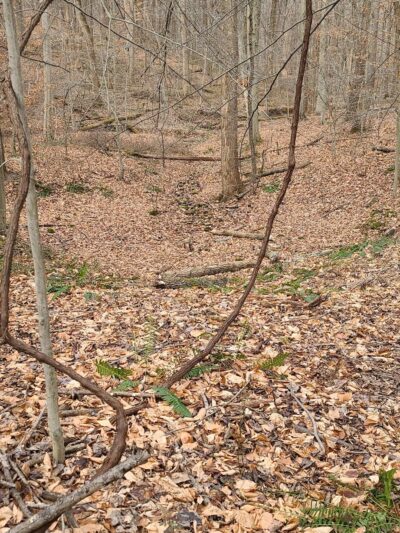 Pot spring Trail Head - Cockeysville, MD