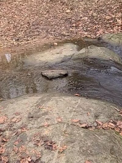 Pot spring Trail Head - Cockeysville, MD