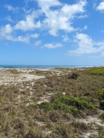 Cocoa Beach Parking - Cocoa Beach, FL
