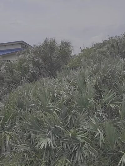 Cocoa Beach Parking - Cocoa Beach, FL