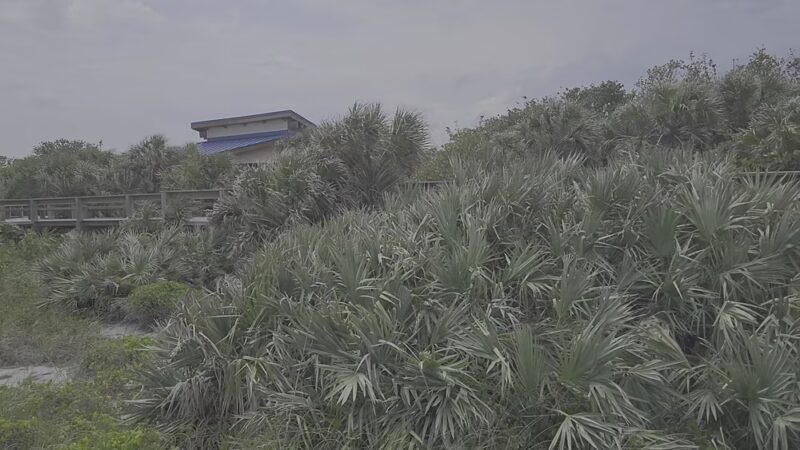 Cocoa Beach Parking - Cocoa Beach, FL