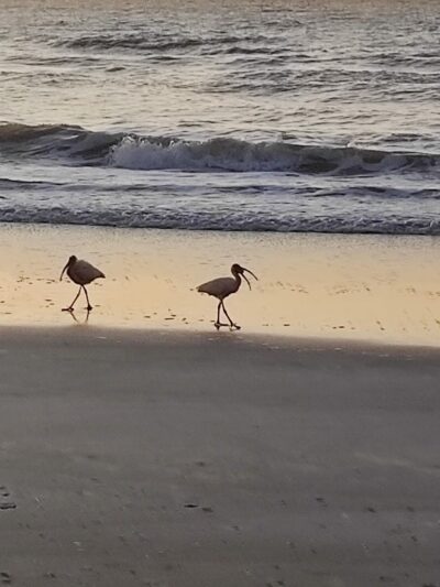 Cocoa Beach Parking - Cocoa Beach, FL