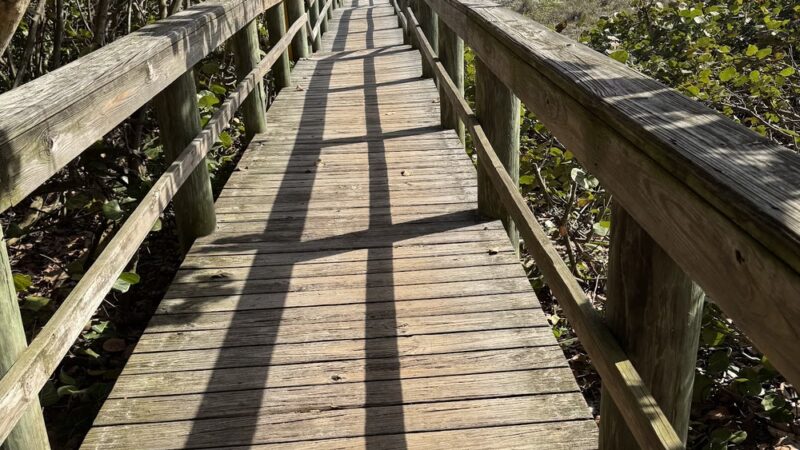 Dog Friendly Beach - Cocoa Beach, FL