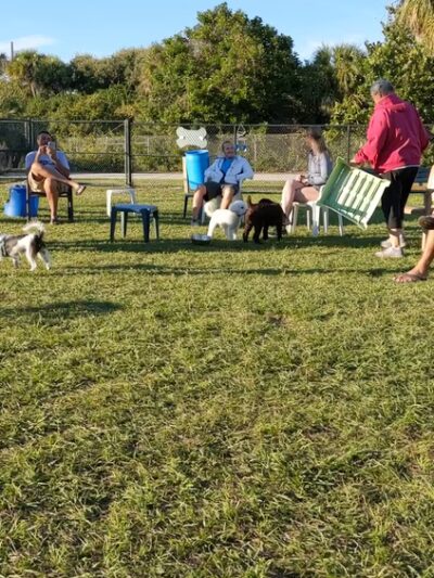 Public Dog Park And Cocoa Beach Access - Cocoa Beach, FL