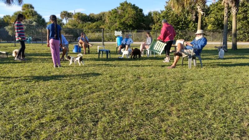 Public Dog Park And Cocoa Beach Access - Cocoa Beach, FL
