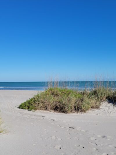 Public Dog Park And Cocoa Beach Access - Cocoa Beach, FL