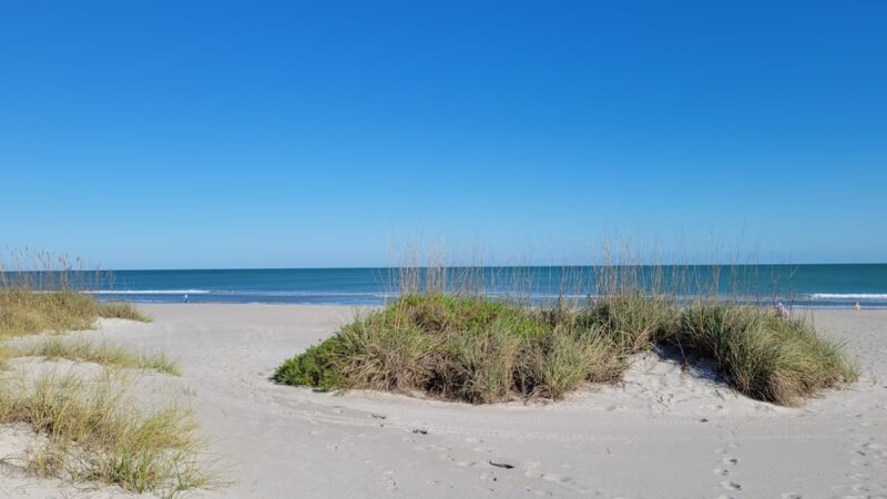 Public Dog Park And Cocoa Beach Access - Cocoa Beach, FL