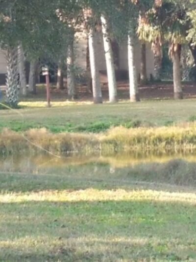 F. Burton Smith Regional Park - Cocoa, FL