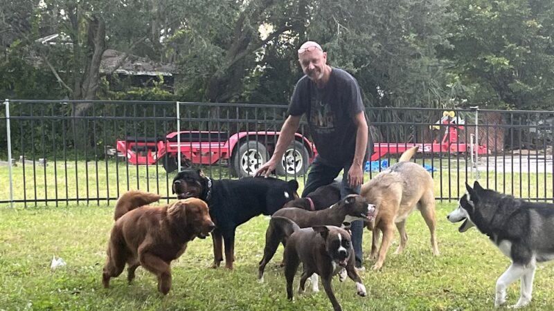 Give A Tail A Wag - Cocoa, FL
