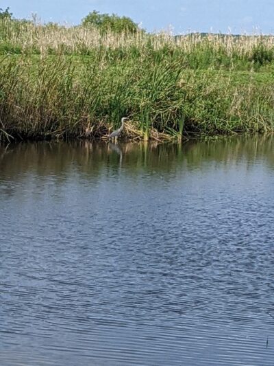 James G. Bourbeau Memorial Park - Cocoa, FL