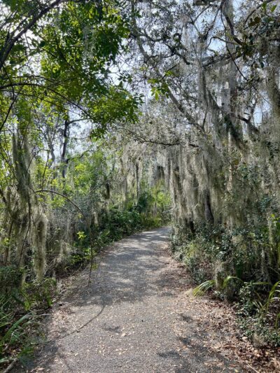 Johnnie Johnson nature trails - Cocoa, FL