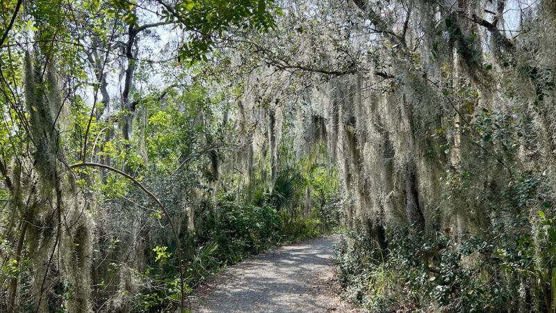 Johnnie Johnson nature trails - Cocoa, FL
