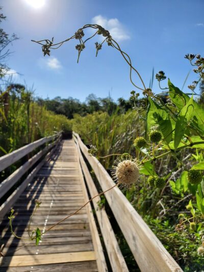 Johnnie Johnson nature trails - Cocoa, FL