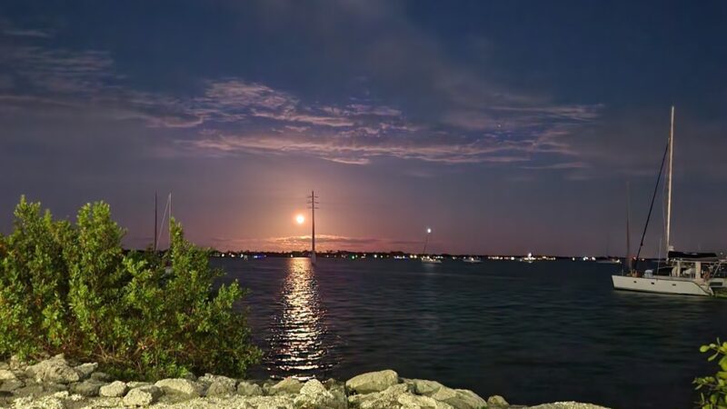 Lee Wenner Park - Cocoa, FL