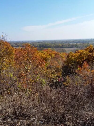 Pfister Park - Coffeyville, KS