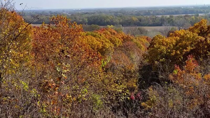 Pfister Park - Coffeyville, KS