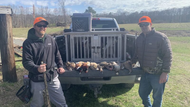 C. Pierce Farms Inc - Cofield, NC