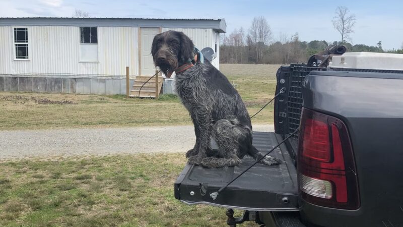 C. Pierce Farms Inc - Cofield, NC