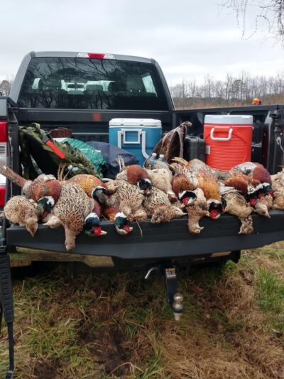 C. Pierce Farms Inc - Cofield, NC