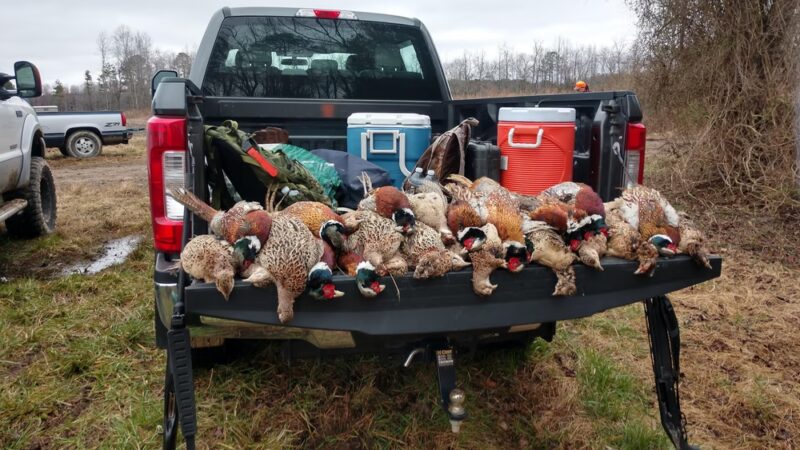C. Pierce Farms Inc - Cofield, NC