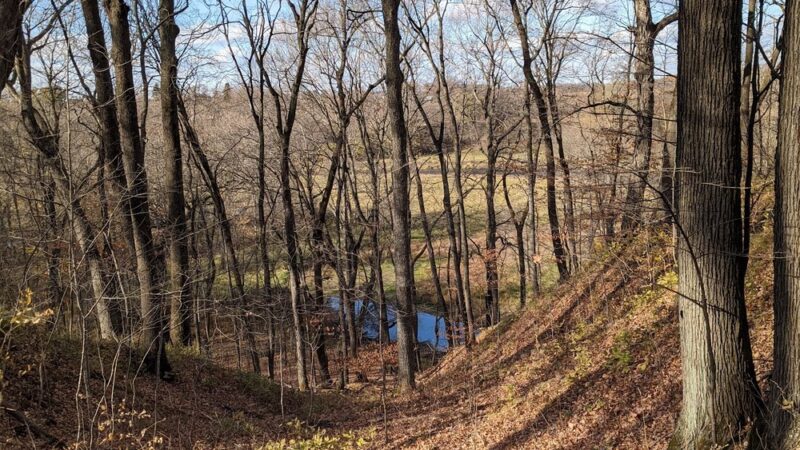Wright County Park Forest Trail - Cokato, MN
