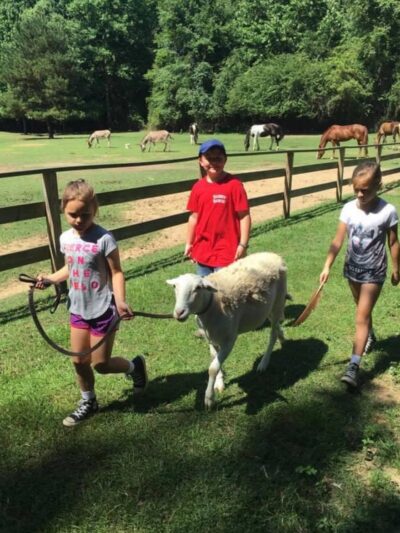 Rainey Ranch - Coker, AL