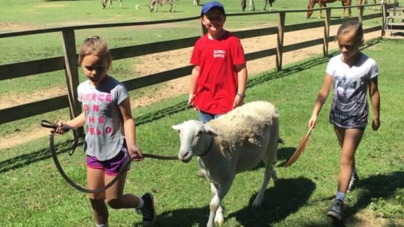 Rainey Ranch - Coker, AL