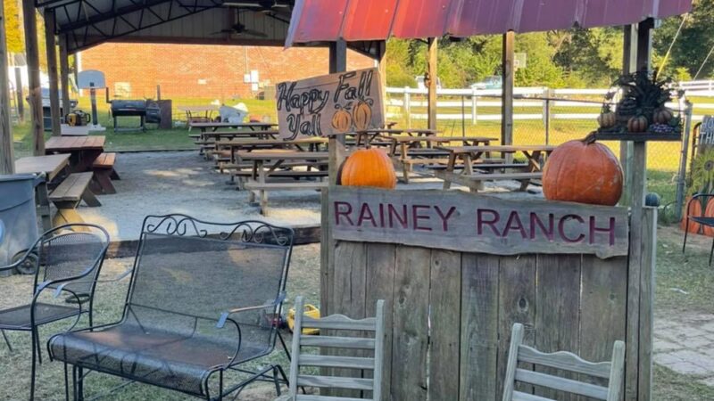 Rainey Ranch - Coker, AL