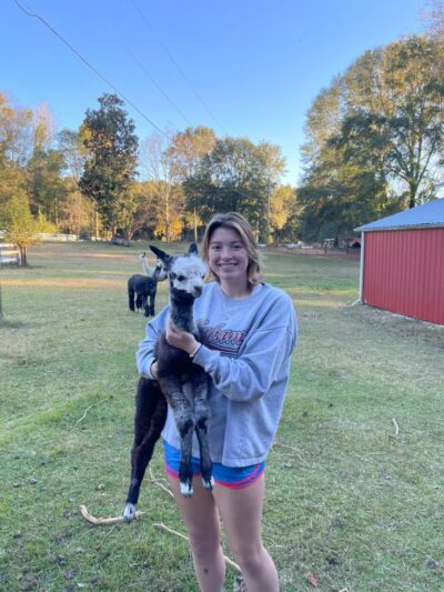 Rainey Ranch - Coker, AL