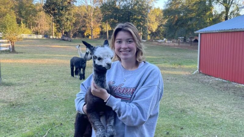 Rainey Ranch - Coker, AL