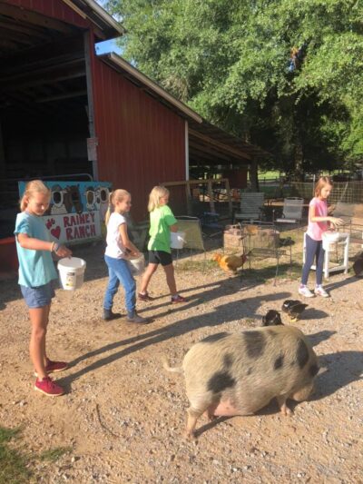 Rainey Ranch - Coker, AL