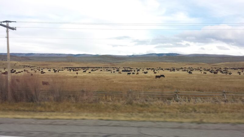 Cokeville Meadows Natl - Cokeville, WY