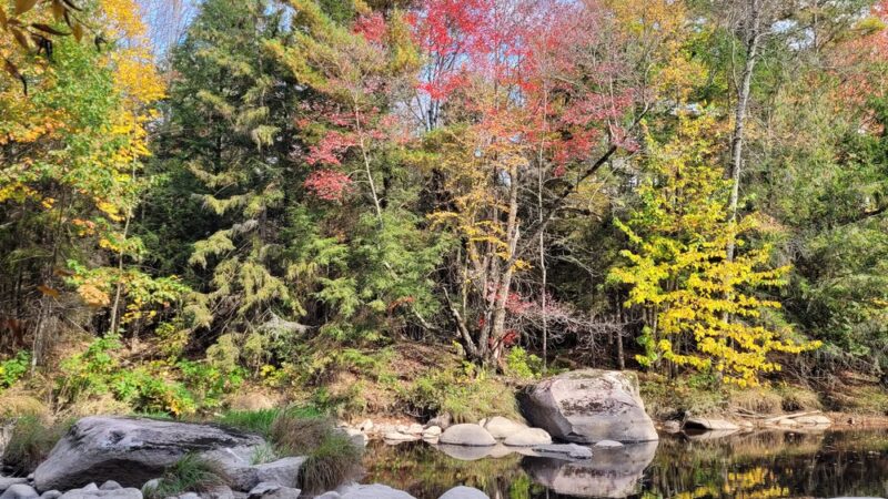 Cherokee County Park - Colby, WI