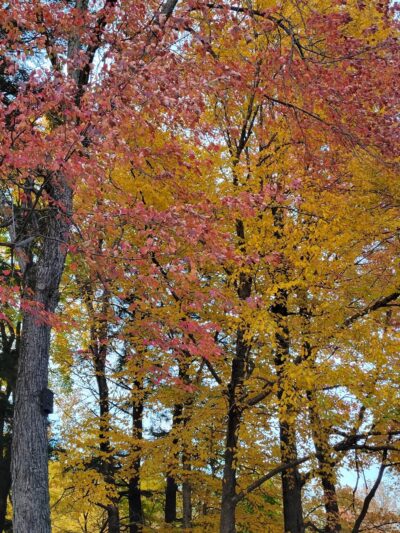 Cherokee County Park - Colby, WI