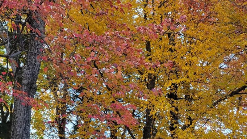 Cherokee County Park - Colby, WI