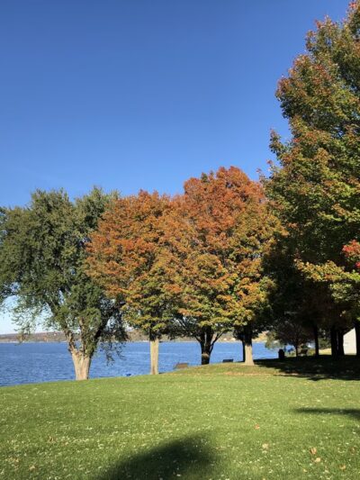 Bayside Park Field - Colchester, VT
