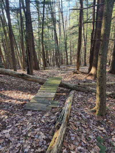 Sunny Hollow Trails - Colchester, VT