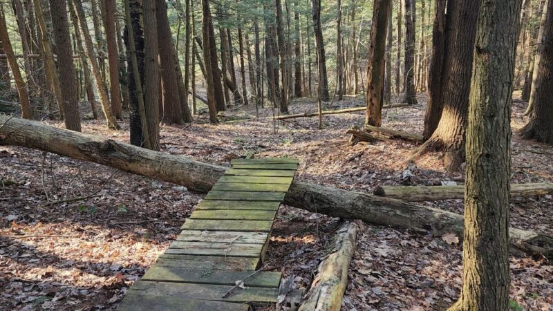 Sunny Hollow Trails - Colchester, VT