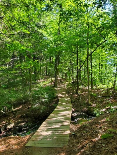 Sunny Hollow Trails - Colchester, VT