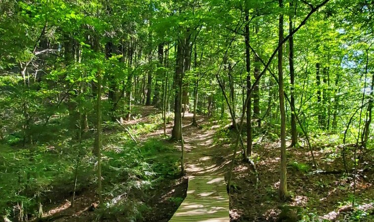 Sunny Hollow Trails - Colchester, VT