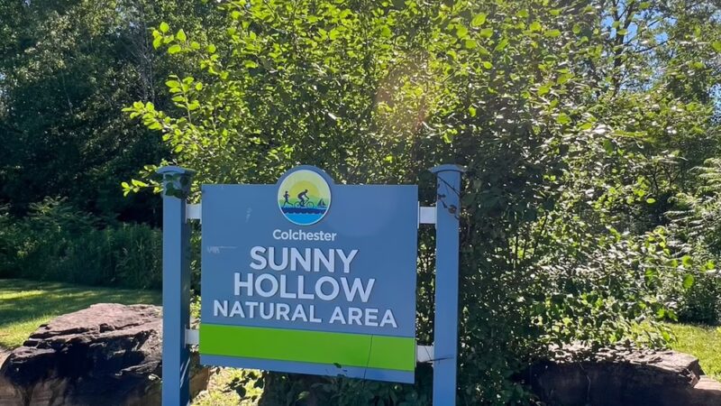 Sunny Hollow Trails - Colchester, VT