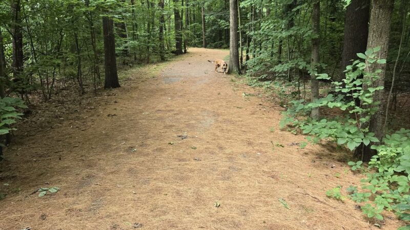 Village Park - Colchester, VT