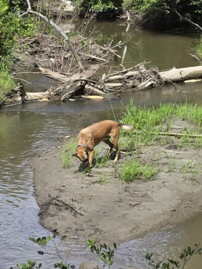 Village Park - Colchester, VT