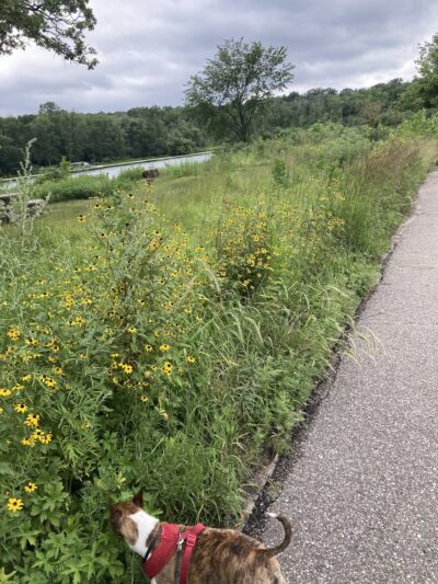 Lions Park - Cold Spring, MN